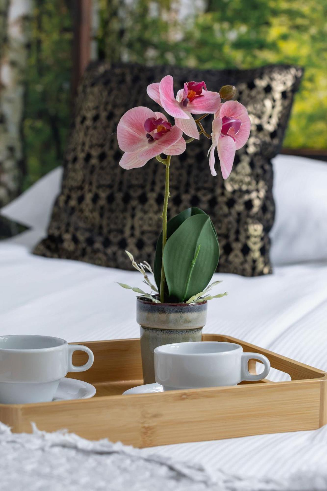 Apartment Prusa Stylish Close To The Center Of Cracow By Renters Krakow